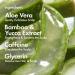 Shop BondiBoost Anti-Frizz Fly Away Hair Serum with Aloe Vera and Caffeine - 10 mL Online - Best Price & International Shipping - Buy Online on GoSupps.com