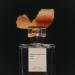 Shop Maison Louis Marie No. 14 Icila Eau de Parfum - 1.7 oz / 50 mL eau de parfum spray Online - Best Price & International Shipping - Buy Online on GoSupps.com