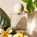 Shop Jo Malone London Wood Sage & Sea Salt and Frangipani Cologne Duo Set Online - Best Price & International Shipping - Buy Online on GoSupps.com