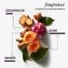Shop Pureology Color Fanatic Leave-In Conditioner Value Set Online - Best Price & International Shipping - Buy Online on GoSupps.com