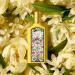 Shop Gucci Flora Gorgeous Orchid Eau de Parfum Travel Spray - 0.33 oz / 10 ml eau de parfum spray Online - Best Price & International Shipping - Buy Online on GoSupps.com