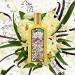 Shop Gucci Flora Gorgeous Orchid Eau de Parfum Travel Spray - 0.33 oz / 10 ml eau de parfum spray Online - Best Price & International Shipping - Buy Online on GoSupps.com