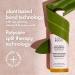 Shop BondiBoost Rapid Repair Bond Builder+ Finishing Oil for damaged hair - 1.86 oz / 60 ml Online - Best Price & International Shipping - Buy Online on GoSupps.com