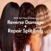 Shop BondiBoost Rapid Repair Bond Builder+ Finishing Oil for damaged hair - 1.86 oz / 60 ml Online - Best Price & International Shipping - Buy Online on GoSupps.com