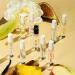 Shop Ellis Brooklyn MEMOIR Fragrance Discovery Set Online - Best Price & International Shipping - Buy Online on GoSupps.com