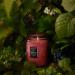 Shop VOLUSPA Japonica Foraged Wildberry Large Jar Candle - 18 oz / 510 g Online - Best Price & International Shipping - Buy Online on GoSupps.com