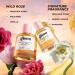 Shop Gisou Honey Infused Hair Perfume - 1.7 oz / 50 ml Online - Best Price & International Shipping - Buy Online on GoSupps.com