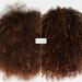 Shop Briogeo Don't Despair Repair! Rice Repair Power Shampoo Treatment and Conditioner Value Set for Severe Damaged Hair Online - Best Price & International Shipping - Buy Online on GoSupps.com