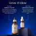 Shop Fable & Mane Pre & Post Wash Hair Oiling Magic Value Set Online - Best Price & International Shipping - Buy Online on GoSupps.com
