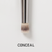 Shop ciele Dual-Ended Concealer Brush Online - Best Price & International Shipping - Buy Online on GoSupps.com