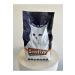 SCAF YY Kitten Food 12 Kg