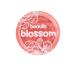 beaulis Blossom Cream Blush 546 Freshy - Buy Online on GoSupps.com