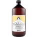 Davines KRASOTA NaturalTech Purifying Shampoo Anti-Dandruff Purifying Shampoo 1000ml 71213 S.19.264H207