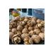 Gazisofraantep Walnut Thin Shelled (Mara 18) 5 kg