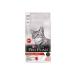 Pro Plan Pro Plan Adult Cat Food with Salmon 1.5 Kg - Buy Online on GoSupps.com