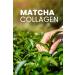 Dermoten Matcha Collagen (Type 1 Type 3 Collagen Matcha L-carnitine) 30 X 10 000 Mg Powder Collagen - Buy Online on GoSupps.com