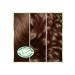 Garnier Nutrisse Intense Nourishing Permanent Cream Hair Dye 6.3 Golden Blonde - Buy Online on GoSupps.com