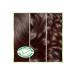 Garnier Nutrisse Intensive Nourishing Permanent Cream Hair Dye 6N Natural Dark Blonde - Buy Online on GoSupps.com