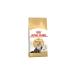 Royal Canin Persian Adult Adult Persian Cat Food 2 kg - Buy Online on GoSupps.com