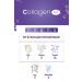 Collagen Life 90 Tablets Containing 5 Types of Collagen & Collagen Containing Weight Gaining Powder Opportunity Set - Buy Online on GoSupps.com