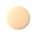 Kryolan Digital Complexion Concealer 11030 Y23 - Buy Online on GoSupps.com