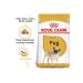 Royal Canin Pug Adult 1.5 Kg. TazeMama Express5763 - Buy Online on GoSupps.com