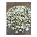 forevers Dried White Rose Bud 75 Grams - Buy Online on GoSupps.com