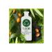 Herbal Essences Argan Oil Nourishing - Repairing - Shampoo 400 ml - Buy Online on GoSupps.com