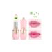 Lesvip's 3 Pieces Floral Lipstick Long Lasting Lip Balm Moisturizing Effective Lip Gloss Lipstick No.4 5 6 - Buy Online on GoSupps.com