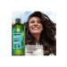Yves Rocher Purifying Shampoo - Oily Hair / Pure Detox Detoxifying Ocean Algae 300 ml Made in FRANCE - Buy Online on GoSupps.com