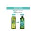 Yves Rocher Purifying Shampoo - Oily Hair / Pure Detox Detoxifying Ocean Algae 300 ml Made in FRANCE - Buy Online on GoSupps.com