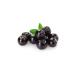 BAZAAR 4 Aronia Fruit - Aronia Dried 675 gr - Buy Online on GoSupps.com
