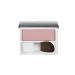 Clinique Blushing Powder Blush 120 Bashful Plum 6 g 020714251055