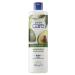 Avon Care Avocado Extract Body Lotion for Dry Skin 400 Ml.