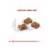 Royal Canin Kitten Dry Cat Food 4kg - Buy Online on GoSupps.com