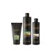 Avon Advance Techniques Shampoo Conditioner and Scrub Package for Oily Hair