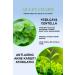 QUEEN CHARM Concentrated GreenTea Centella Cica Premium Cream for Acne Skin - Buy Online on GoSupps.com