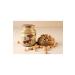 HALUK AYDIN NUTS Real Hazelnut Paste 320 Gr -