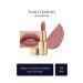 Estee Lauder Matte Finish Lipstick - Pure Color Matte Lipstick - 3.5gr - Color: 816 Suit Up