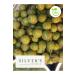 Silver's Naturals Hatay Halhali Green Cracked Olives - (5kg Drum) - Buy Online on GoSupps.com