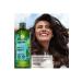 Yves Rocher Purifying Shampoo - Oily Hair / Pure Detox Ocean Algi with Detox Effect 300 ml Shiine158