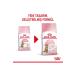 Royal Canin Royal Canin Kitten Sterilized 2kg Kitten Sterilized Cat Food 6-12 Months - Buy Online on GoSupps.com