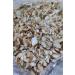 Pistachio Market Cracked Almond Kernels 1 Kg - Buy Online on GoSupps.com