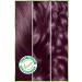 Garnier Nutrisse Intense Nourishing Permanent Cream Hair Dye 4.26 Aubergine Purple - Buy Online on GoSupps.com