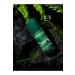 LaNaturel Roll On Eucalyptus Men 50 ml - Buy Online on GoSupps.com