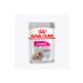 Royal Canin Ccn Exigent Loaf Wet Dog Food 85 gr 12 Pieces - Buy Online on GoSupps.com