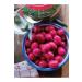 G LCAN HANIM'S FARM Olives with Beetroot - 1 KG - Buy Online on GoSupps.com