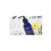 Kiehl's Midnight Recovery Gentle Cleansing Makeup Remover Oil 175ml - Buy Online on GoSupps.com