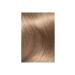 L'Oreal Paris L'or al Paris Excellence Creme Hair Dye - 8.1 Ash Dark Blonde - Buy Online on GoSupps.com