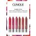 Clinique Chubby Stick Moisturizing Tinted Shine Lip Care Makeup Set
